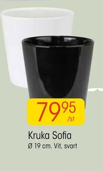 EKO Kruka Sofia Ø 19 cm erbjuda
