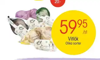Vitlök