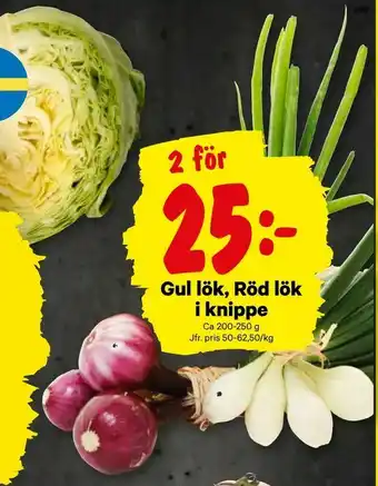 City Gross Gul lök, Röd lök i knippe erbjuda