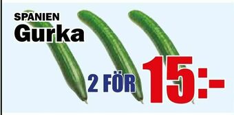 Matdax Gurka erbjuda