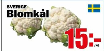 Matdax Blomkål erbjuda