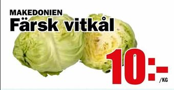 Matdax Färsk vitkål erbjuda