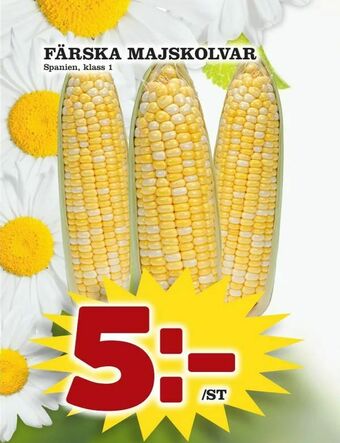 Nya Pulsen Färska majskolvar erbjuda