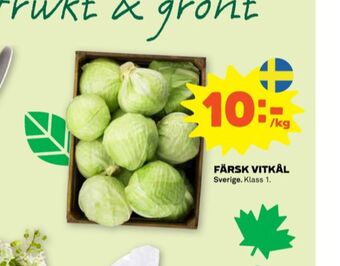 Stora Coop Scan vitkål erbjuda