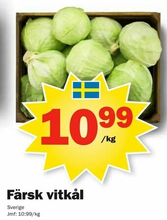 Pekås Färsk vitkål erbjuda
