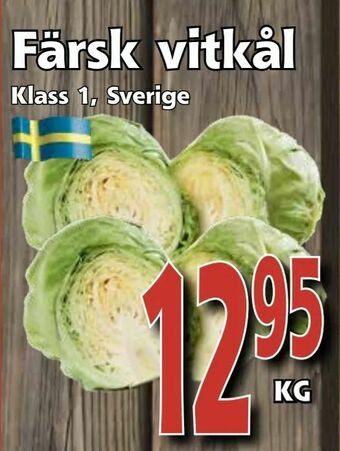 Supergrossen Färsk vitkål erbjuda
