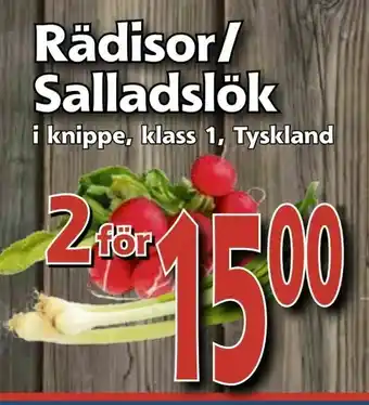 Rädisor/ Salladslök