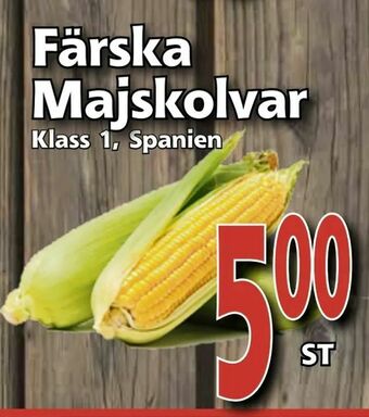 Supergrossen Färska Majskolvar erbjuda
