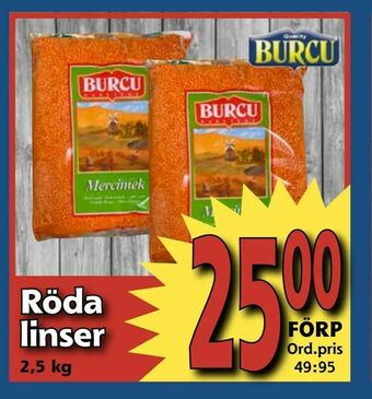 Supergrossen Röda linser erbjuda