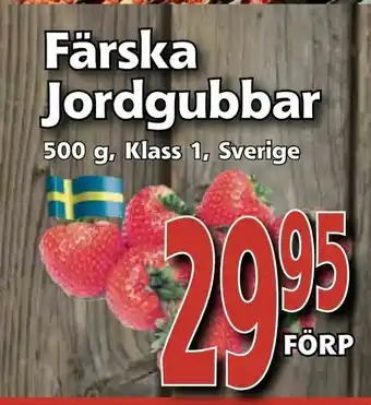 Supergrossen Färska Jordgubbar erbjuda