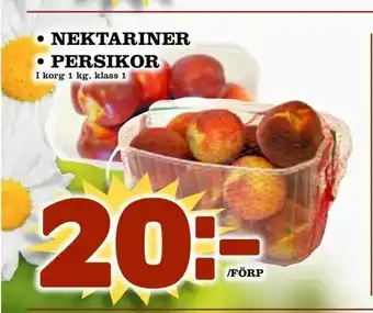 Supergrossen Nektariner • persikor erbjuda