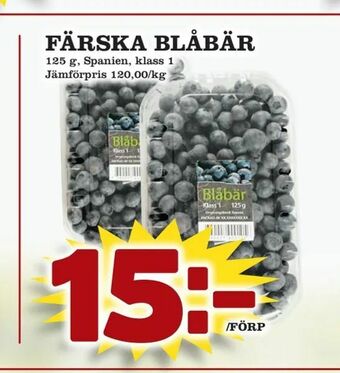 Supergrossen Färska blåbär erbjuda