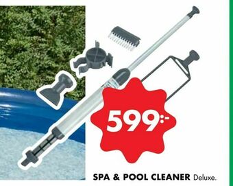 Spa & pool cleaner