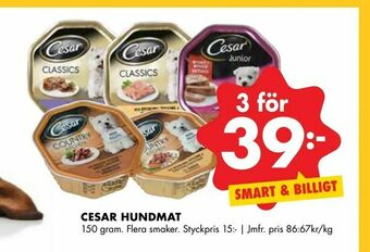 ÖoB Cesar hundmat erbjuda