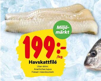 City Gross Havskattfilé erbjuda