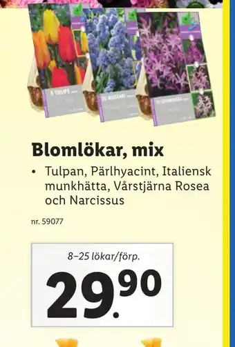 Lidl Blomlökar Mix erbjuda