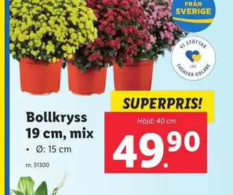 Lidl Bollkryss 19 cm, mix erbjuda