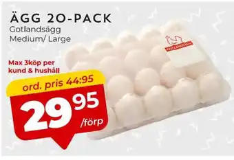 Ägg 20-pack