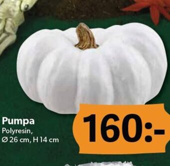 DollarStore Pumpa erbjuda