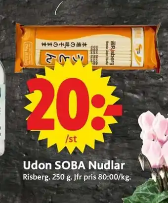 Udon SOBA Nudlar
