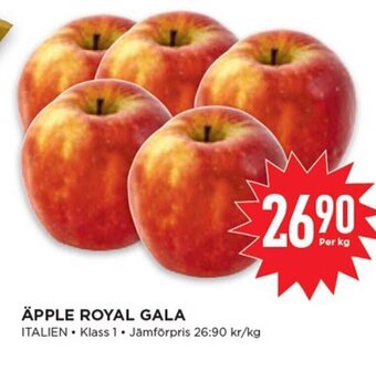 Willys Äpple Royal Gala erbjuda