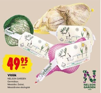 City Gross Vitlök erbjuda