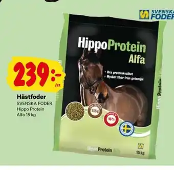 Hästfoder