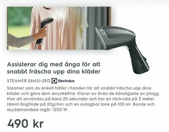 Electrolux Home STEAMER E6HS1-2EG erbjuda