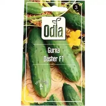 ÖoB Fröer odla gurka dasher erbjuda