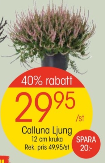 EKO Ob plantor erbjuda