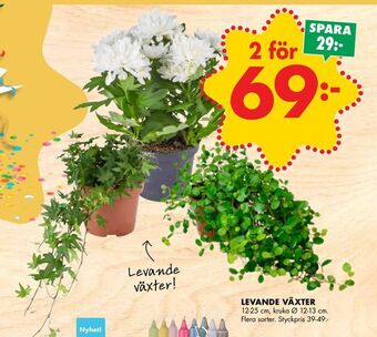 ÖoB Levande växter erbjuda