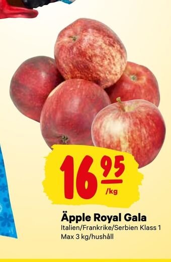 City Gross Äpple royal gala erbjuda