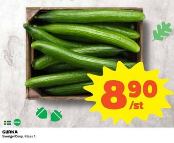 Coop Daglivs Gurka erbjuda