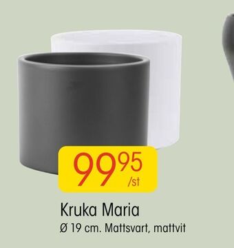 EKO Kruka maria erbjuda