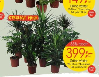 EKO Gröna växter erbjuda