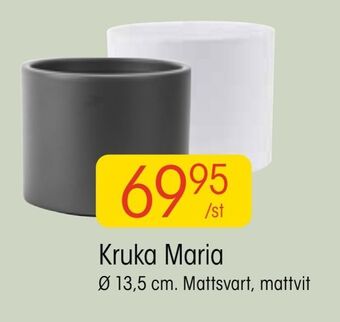 EKO Kruka maria erbjuda