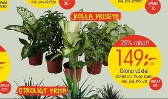 EKO Gröna växter erbjuda