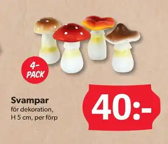 DollarStore Svampar erbjuda