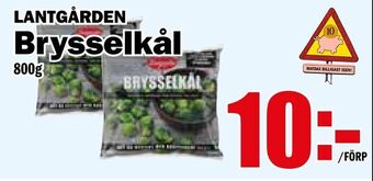 Matdax Brysselkål erbjuda
