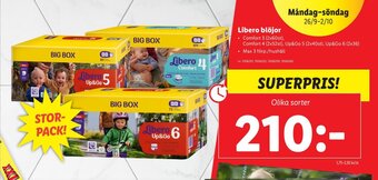 Libero Blojor