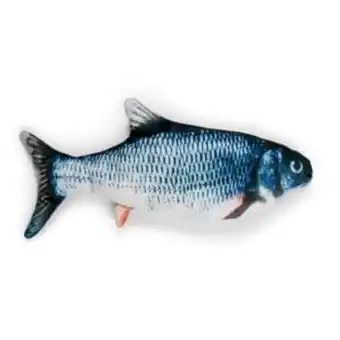 Little&bigger kick fish sprattlande fisk
