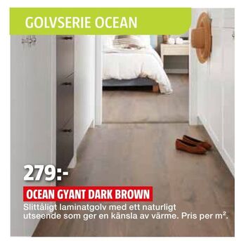 Ocean gyant dark brown