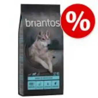 Zooplus 10 % rabatt! 12 kg briantos grain free torrfoder erbjuda