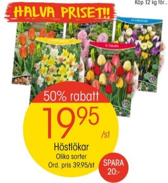 EKO Nelson garden blomsterlökar erbjuda