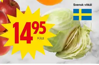 Matöppet Mellanrost vitkål erbjuda