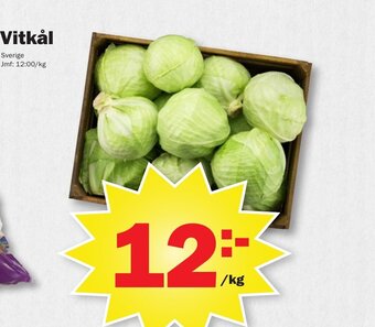 Pekås Vitkål erbjuda