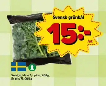 Wernerssons grönkål