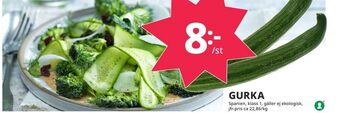Tempo Gurka erbjuda