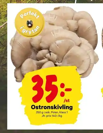 City Gross Ostronskivling erbjuda