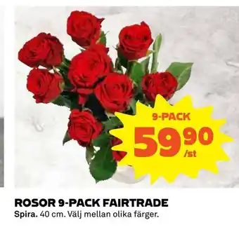 Coop Konsum Rosor 9-pack fairtrade erbjuda